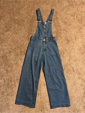 Universal Thread Blue Denim Wide-Leg Overalls
